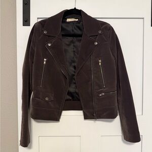 Women's Velvet Gray Biker Jacket